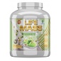 Гейнер Tree of life LIFE MASS Gainer 2700 гр