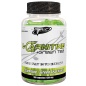 Л-карнитин Trec Nutrition L-Carnitin + Green Tea 180 капсул