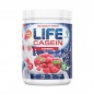 Протеин Tree of life LIFE Casein 454 гр