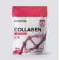 Коллаген Endorphin Collagen + Glucosamine + Chondroitin дойпак 200 гр