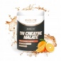 Креатин Evolite Nutrition Creatine Malate 300 гр
