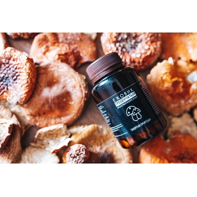 Специальный препарат Энергия Природы Ежовик Гребенчатый 100 капсул