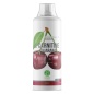 Л-карнитин Nature Foods L-carnitine + Guarana Concentrate 1000 мл