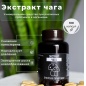 Специальный препарат Энергия Природы Экстракт Чага 100 капсул