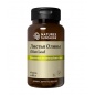 Витамины Nature’s Sunshine Olive Leaf 60 капсул