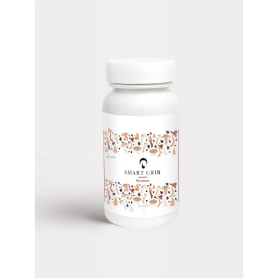 Специальный препарат INNER HEALTH Кордицепс Мицелий 90 капсул