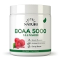 БЦАА NATURI BCAA Powder 200 гр