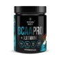 БЦАА Roden Max BCAAPRO + Glutamine 300 гр
